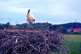 Unsere Arbeit ist getan 